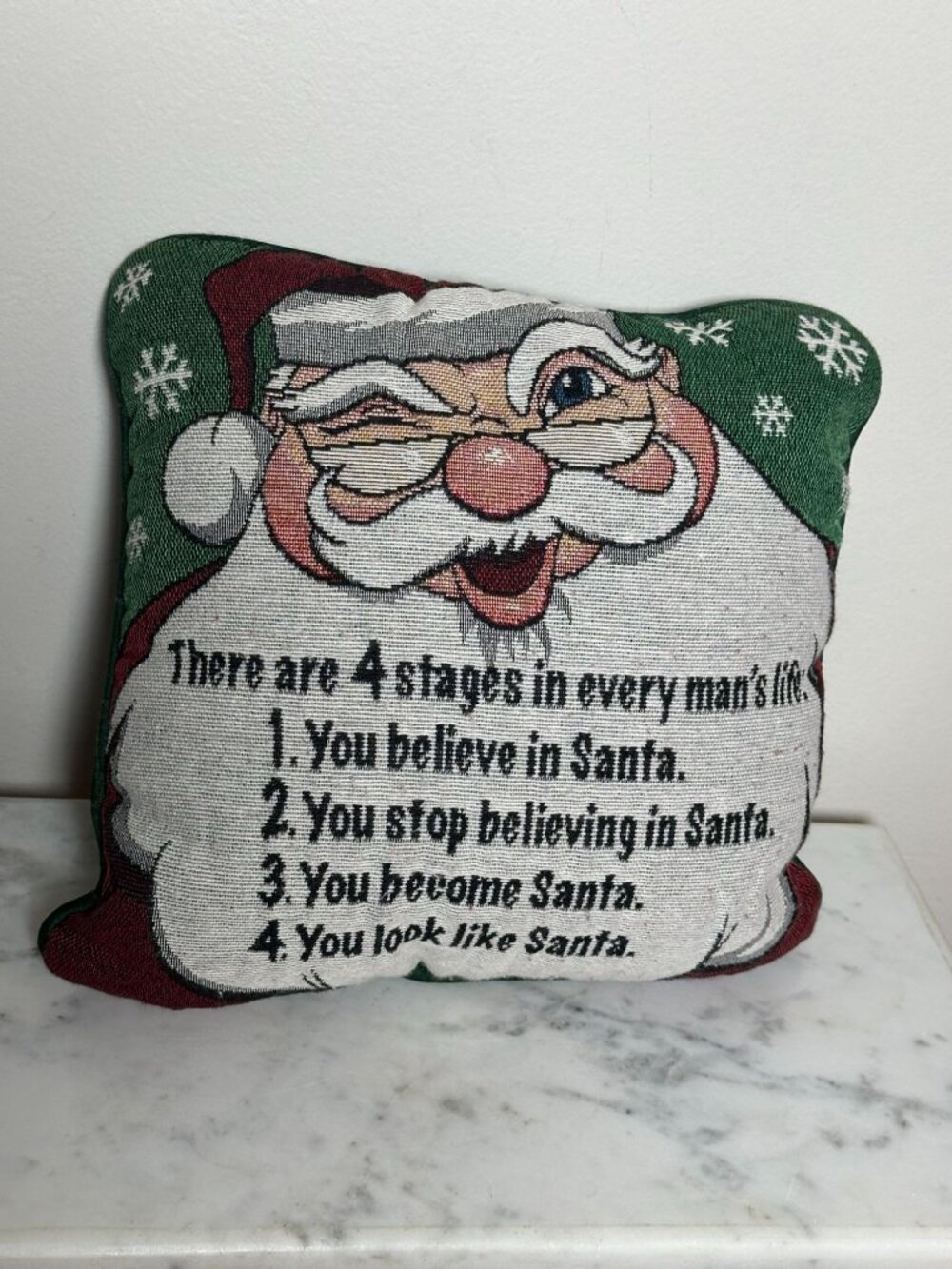 Vintage Santa Christmas Pillow, Funny 4 Stages of Santa Tapestry Pillow, Green R
